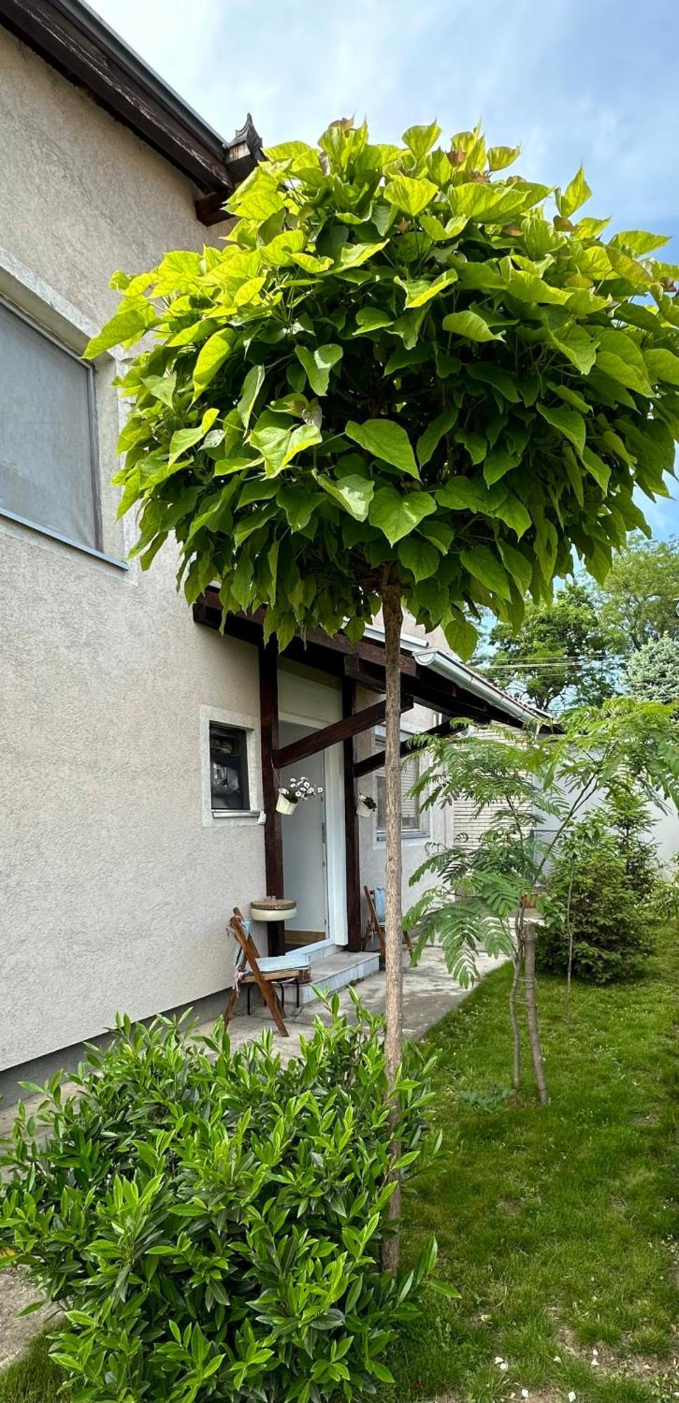 Day & Night Apartment Ćuprija 외부 사진